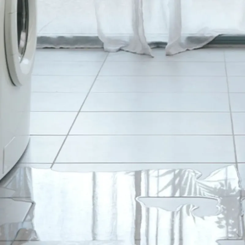 Appliance Leak Cleanup in Orland Park, IL
