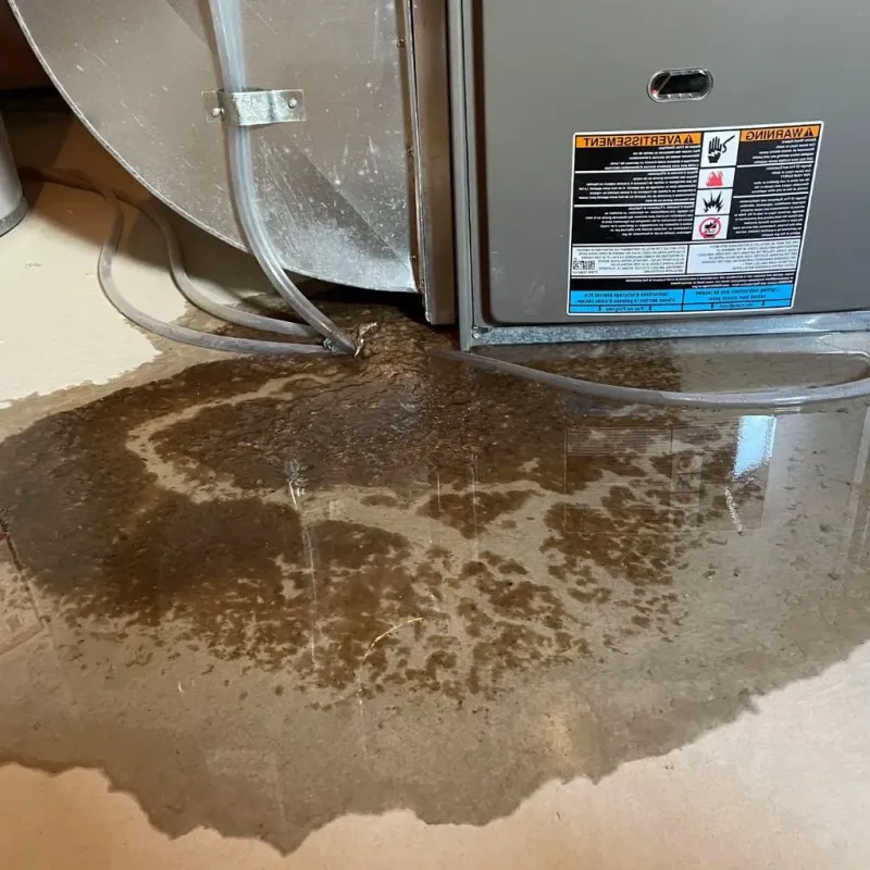 Pipe Burst and Leak Restoration in Orland Park, IL